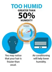 This infographic illustrates how high humidity can cause frizzier hair and how air conditioning will help lower humidity.