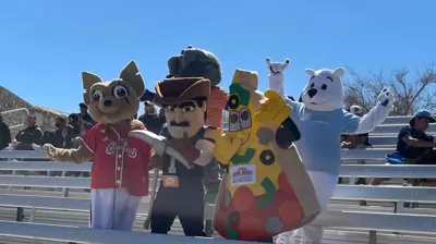 Five costumed mascots stand on stadium bleachers. Photo