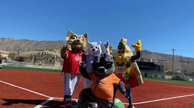 Four mascots and a plush toy pose on a baseball field's home plate. Photo
