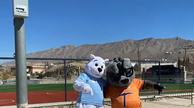 Two mascots, a white polar bear and a grey bear wearing glasses, stand arm-in-arm on a sunny day. Photo
