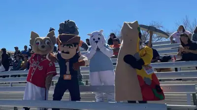 Five costumed mascots stand on stadium bleachers. Photo