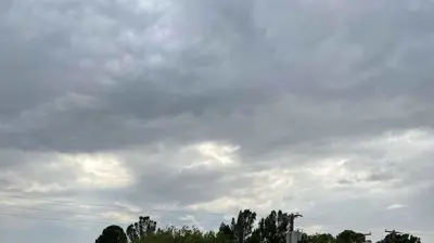 A grey corrugated metal roof under a cloudy sky, featuring several low rectangular structures and trees in the distance. Photo